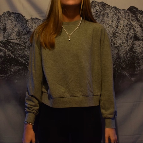 Wild Fable Cropped Grey Crewneck - Picture 1 of 3